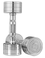 Гантель хромована WorldSport 80020-4 (4 кг)