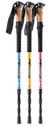 картинка WorldSport ABD-8002EVA