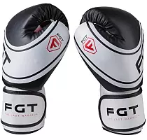 Боксерські рукавички FGT FT-2177