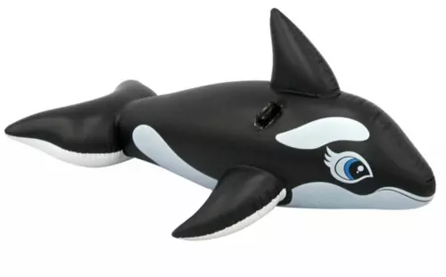 картинка Intex 58561 фото 2