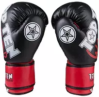 Боксерські рукавички TopTen Warrior