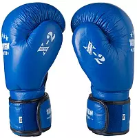 Боксерські рукавички TopTen X-2