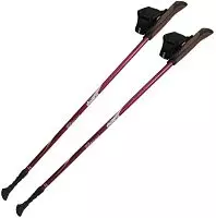 Палки для скандинавської ходьби Tramp Fitness, TRR-011