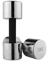 Гантель хромована WorldSport 80019-10 (10 кг)