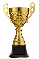 Кубок worldsport 4088C-G h=29 см