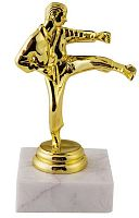 Статуетка нагородна карате 814A/N11