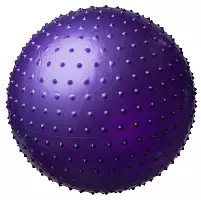 М'яч для фітнесу масажний Worldsport 5415 (65 см)