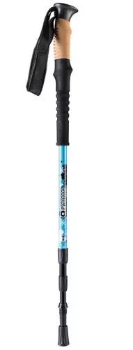 картинка WorldSport ABD-8002EVA фото 2