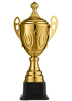 Кубок worldsport 4068C h=40см