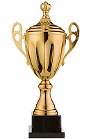 Кубок worldsport 4060D h=34см