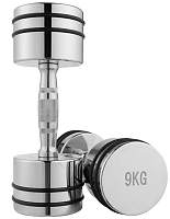 Гантель хромована WorldSport 80034D-9 (9 кг)