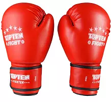 Боксерські рукавички TopTen TT3148