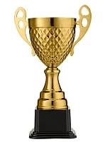 Кубок worldsport 4088D h=25см